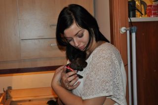 Jamniki d�ugow�ose 